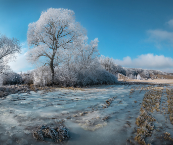 Пойма реки Ворскла / Яковлевский район. Январь, 2023 года.
Из фотопроекта «Земля Белгородская».
