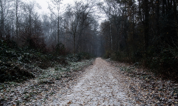 Первый снежок / ***