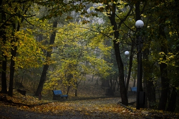 В парке осеннем.......... / Железноводск. Октябрь