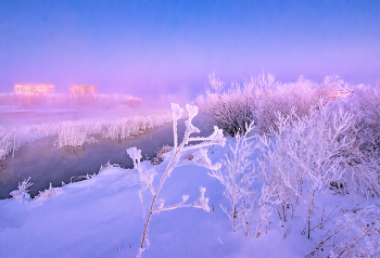 Розовое утро / Зимний рассвет