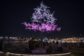 Light Tree / Светящееся дерево в Dubai Global Village