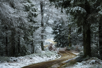 Лесной путь. / Зима, лесной путь,.снег,лес