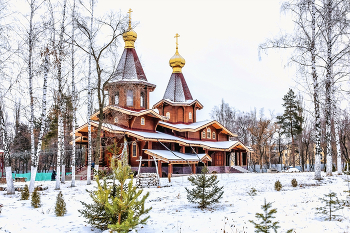 Храм в парке Южном / Русская православная церковь, Московский патриархат, Воронежская Епархия. Храм в честь иконы Божией Матери: &quot;Всех скорбящих радость&quot;. Зимним утром.