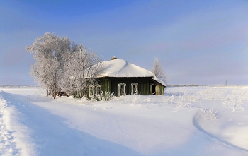 Зимнее безмолвие... / Томская область, село