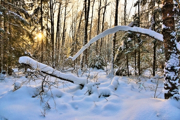 &quot;Мороз и солнце - день чудесный ...&quot; / Зимний этюд ...