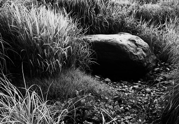 Валун и осока . / Камни в прибрежной траве .