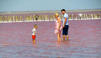 ЭТО ИНТЕРЕСНО / КРЫМ. СОЛЁНОЕ ОЗЕРО С РОЗОВОЙ ВОДОЙ,