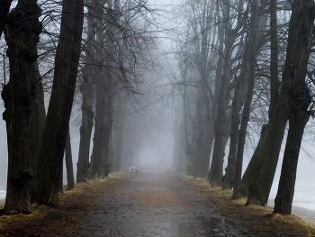 В парке весеннем............ / Петергоф. Красный пруд. Март