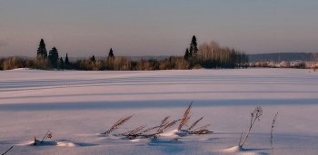 Вечер. / Томская область.