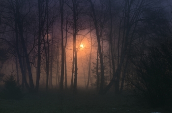 Ночной туман / Зима