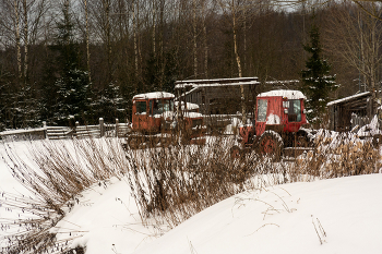 Жизнь вокруг / Описание