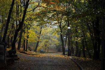 В осеннем парке / Железноводск. Октябрь