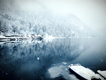 ... И падает снег / Озеро Рица. Абхазия. Снежный февраль.