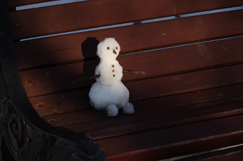 В ожидании... / снеговик, парк, Владикавказ, зима