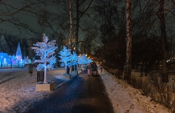 В парке Сокольники / Сокольники
