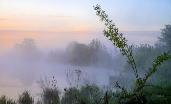 Весенний туман. / Утро на озере Сосновое.