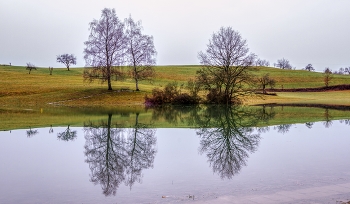 &nbsp; / sich spiegelnde Bäume im Eichener See