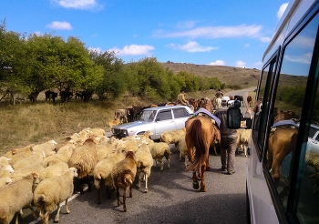 По пути... / ***