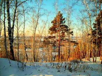 Зимний вечер / Иркутская область