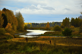 Оранжевая мода. / ...