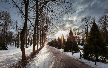 В зимнем парке... / ***