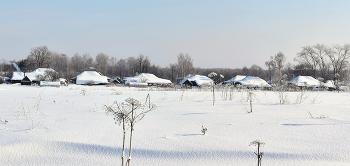 После снегопада / Прошел сильный снегопад, все вокруг покрыто белым покрывалом.