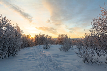 зимнее утро / на сопках Мурманска