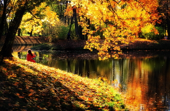 Осенний пруд / Александровский парк «Царское Село»