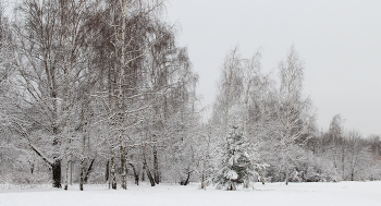 Пейзаж. / Природа зимой!