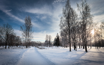 В зимнем парке... / ***