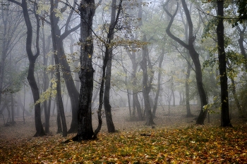 В осеннем парке..... / Железноводск. Октябрь