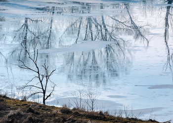 Рисунок весны / На льду пруда скопилась дождевая вода и получилось живописное отражение. 
Ивнянский район. Март, 2023 года.
Из фотопроекта &quot;Земля Белгородская».