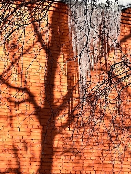 &nbsp; / [img]https://i.postimg.cc/GmLFS7VP/A3415-BB6-2933-48-A4-80-CF-C1-B544-BE921-C.jpg[/img]

[img]https://i.postimg.cc/dt4kDqNd/53-E1-D417-EDA9-4-DEA-BB4-B-5-EFB131-DE9-A5.jpg[/img]

[img]https://i.postimg.cc/VNMk91gK/0-F6-DF119-D153-42-D4-848-E-8-F6-D748643-F0.jpg[/img]