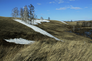 Штрихи весны / ***
