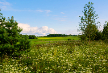 скоро лето / лето, Брянская область