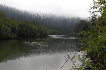 Утро туманное / Таежная река и тайга окутаны туманом
