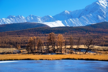 Горный Алтай. / ...