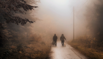 Туман / прогулка туманным утром с собакой