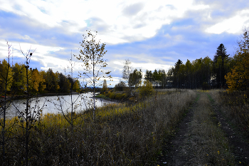 Дорога у реки. / ...