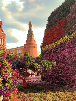 Кремль и цветы / Москва, Кремль, лето 2022.