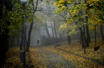 Дождливое утро......... / Железноводск. Октябрь