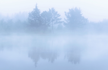 Летний туман / Легкий утренний туман