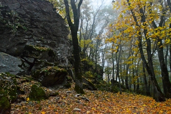 Кавказская осень.... / Железноводск. Октябрь