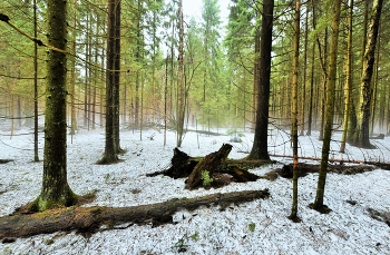 "Не жалея силы, пишет март пейзажи ..." / Мартовский этюд ...