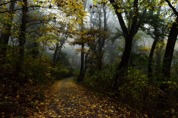 Осеннее утро..... / Железноводск. Октябрь