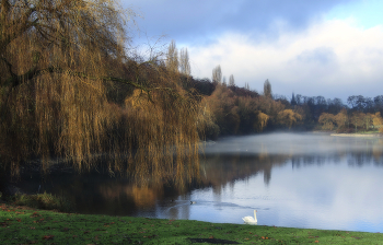Туман рассеялся / ***