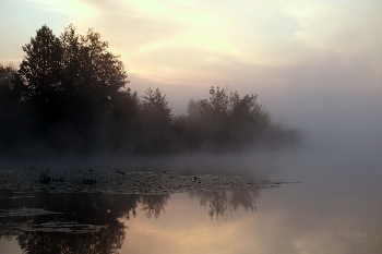 Осеннее утро. / Озеро Сосновое.