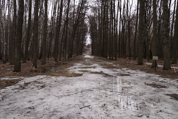 Снегурочка растаяла (по А.Н.Островскому) / Снегурочка растаяла (по А.Н.Островскому)