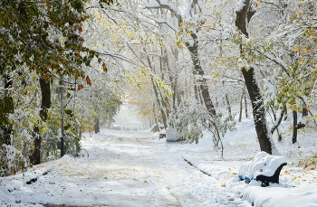 Кавказская осень.... / Железноводск. Ноябрь