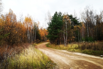 Дорога в осень / Осенний пейзаж